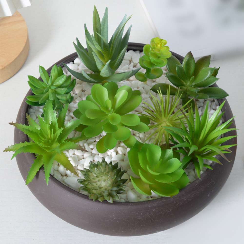 Succulent Arrangement Mini - نباتات اصطناعية لتزيين المكاتب والمنازل، بديل