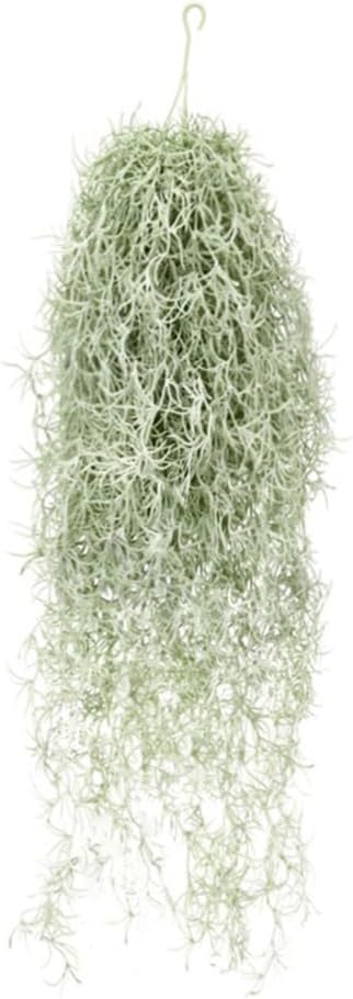 Air Plant Tillandsia - نباتات الهواء Tillandsia المتدفقة الاصطناعية 31