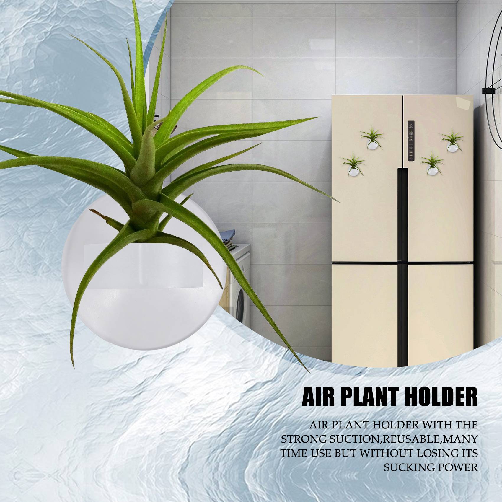 Air Plant Tillandsia - حامل نباتات هوائية AC76-20 قطعة، حامل