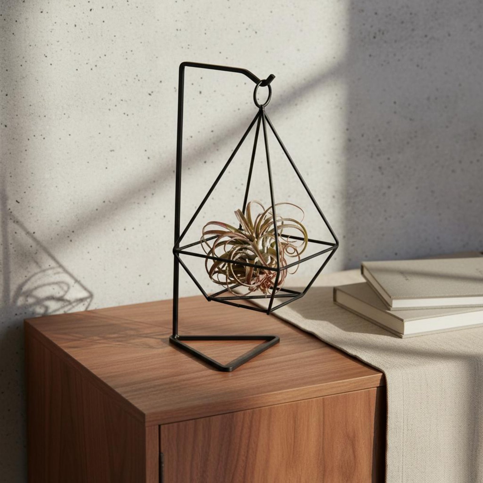 Air Plant Tillandsia - حامل نباتات هوائية بتصميم هندسي بسيط،