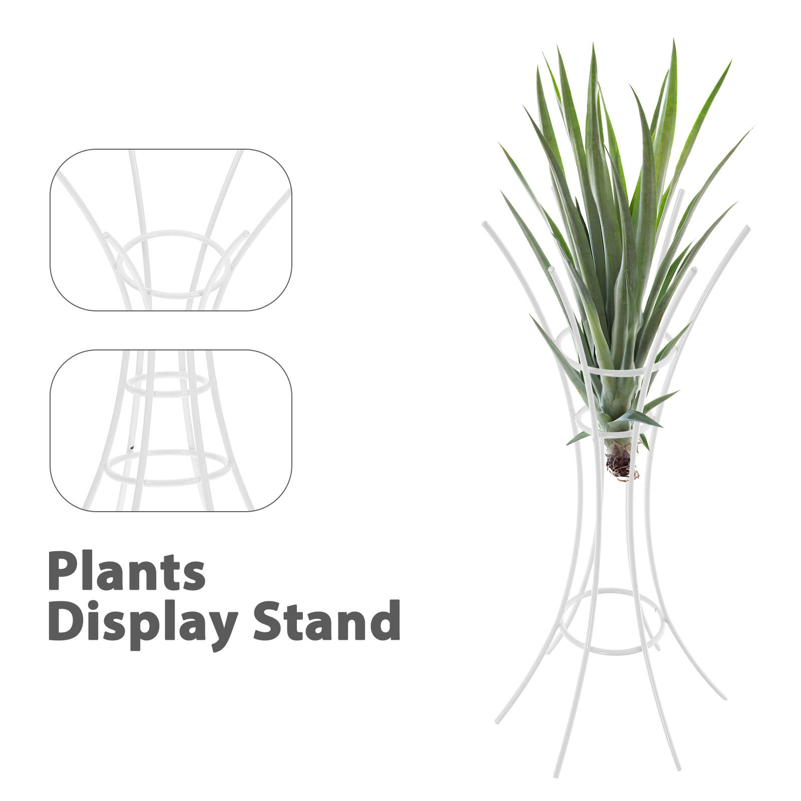 حامل نباتات هوائية معدني، رف ع - مراجعة Air Plant Tillandsia وسعره