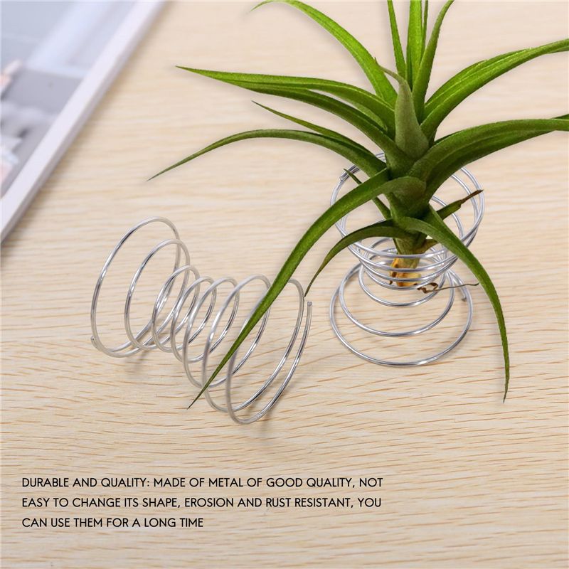 الأكثر مبيعًا - 6 قطع من حوامل - مراجعة Air Plant Tillandsia وسعره