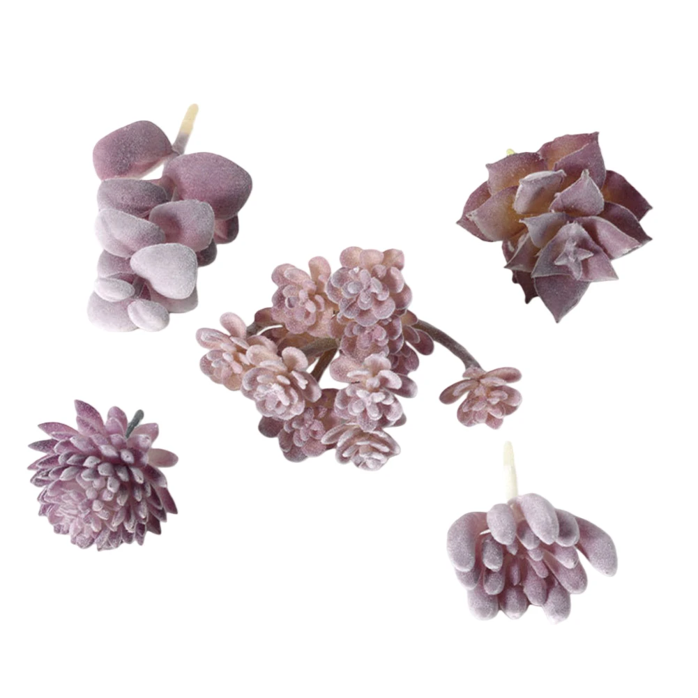 تتطلب صيانة منخفضة لترتيبات ال - مراجعة Succulent Arrangement Mini وسعره