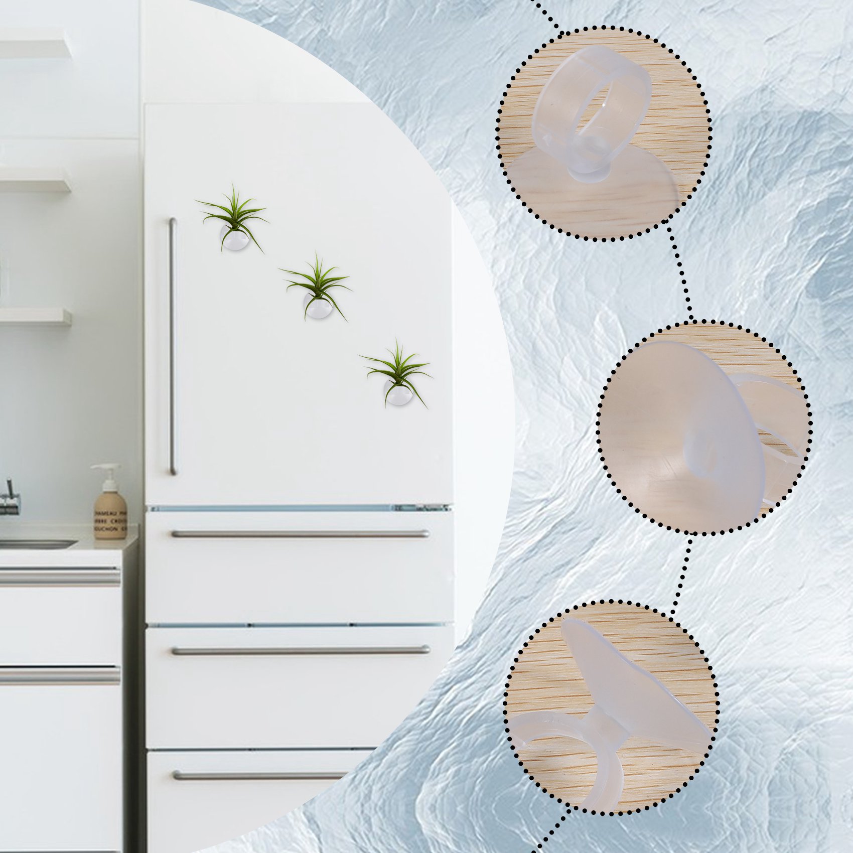 حامل نباتات هوائية AC76-20 قطع - مراجعة Air Plant Tillandsia وسعره