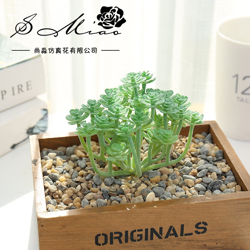 Wusmarty-العصارة الاصطناعية ال - مراجعة Succulent Arrangement Mini وسعره