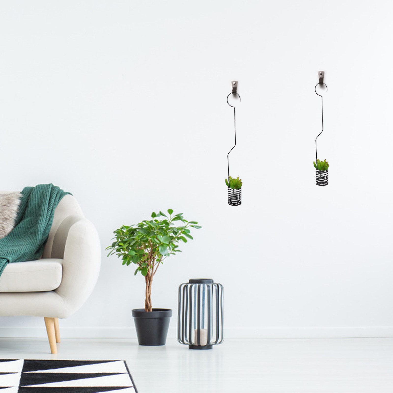قطعة واحدة من حامل نباتات الهو - مراجعة Air Plant Tillandsia وسعره