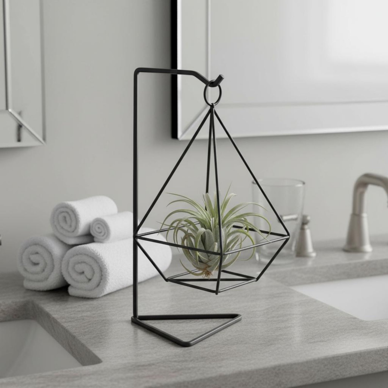 حامل نباتات هوائية بتصميم هندس - مراجعة Air Plant Tillandsia وسعره
