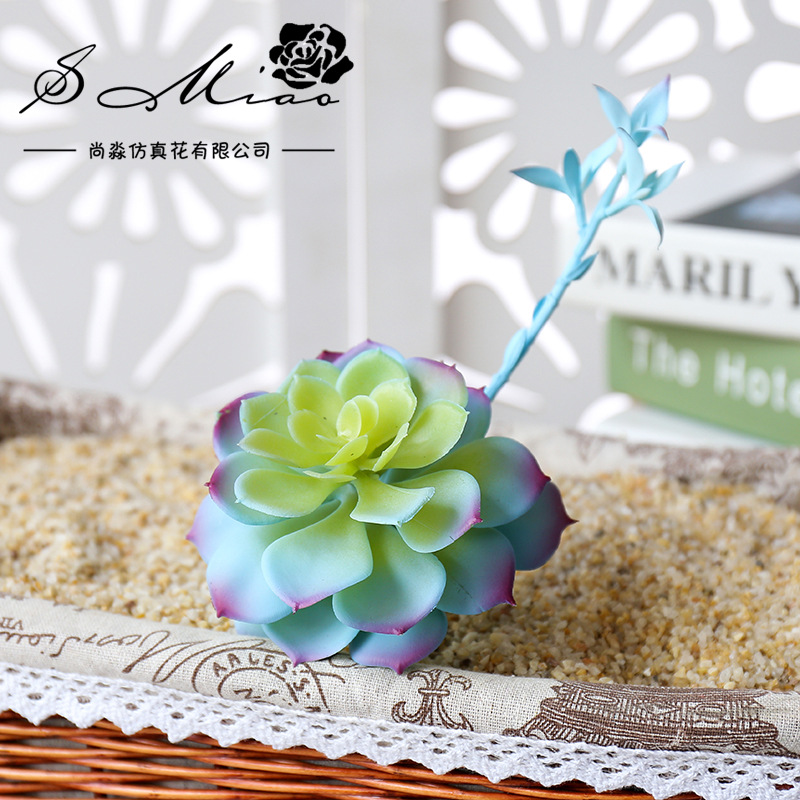 Wusmart-zhong Lian عصارة صناعي - مراجعة Succulent Arrangement Mini وسعره