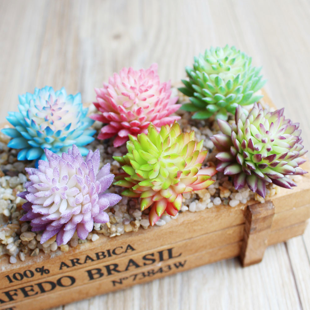 Wusmarty-نباتات عصارية اصطناعي - مراجعة Succulent Arrangement Mini وسعره