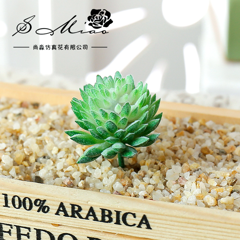 Wusmarty-نباتات عصارية اصطناعي - مراجعة Succulent Arrangement Mini وسعره