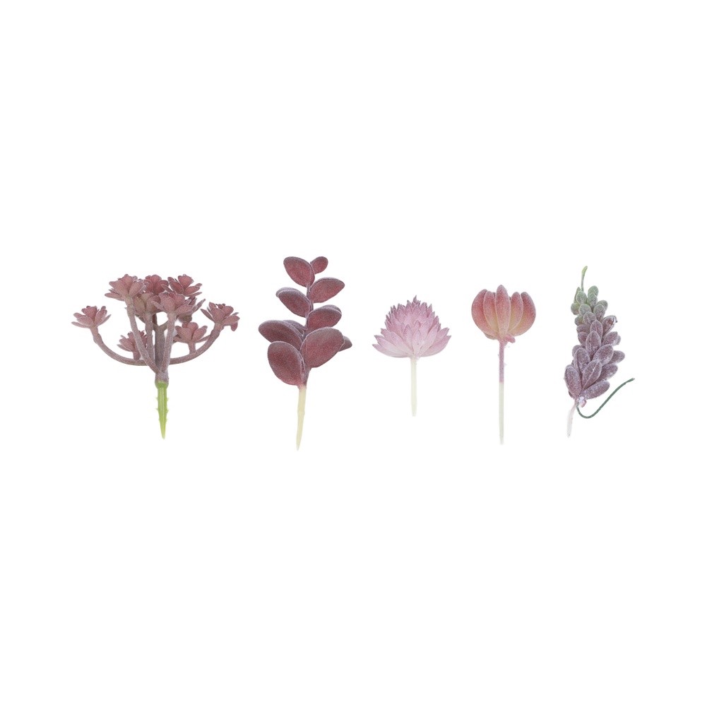 ترتيب نباتات عصارية اصطناعية ب - مراجعة Succulent Arrangement Mini وسعره