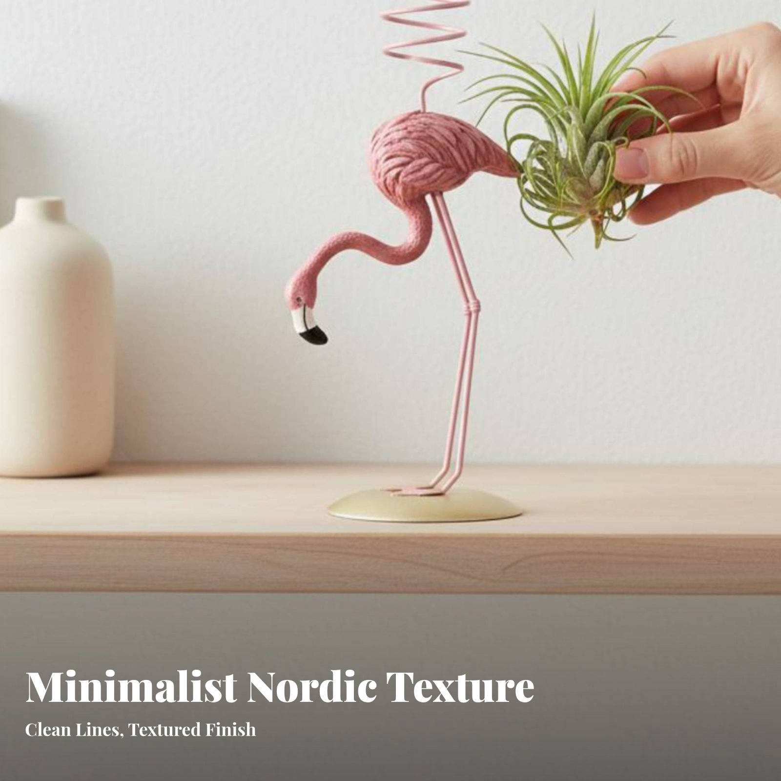 حامل نباتات تيلاندزيا هندسي بت - مراجعة Air Plant Tillandsia وسعره